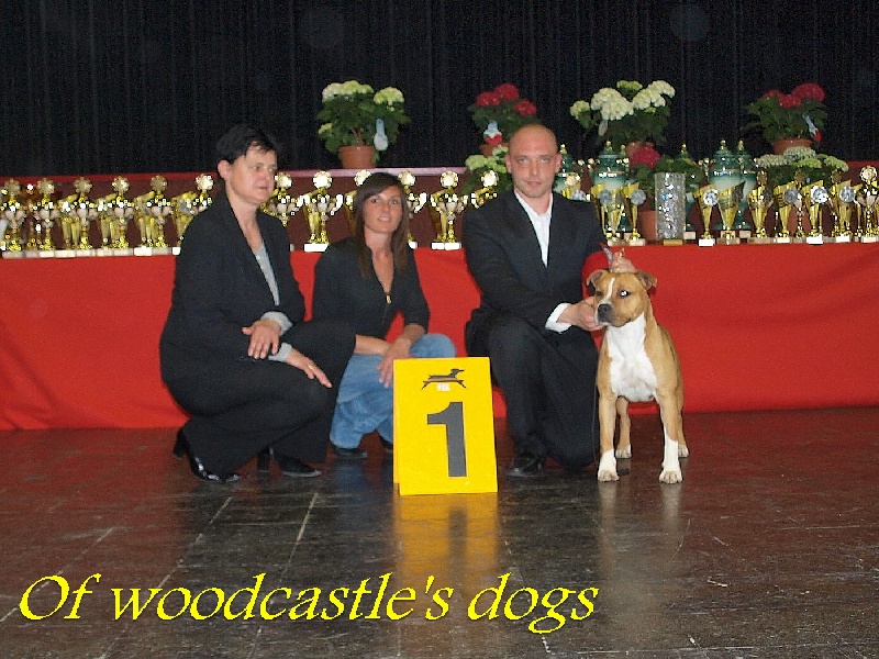 CH. Inattendue of Woodcastle's Dogs