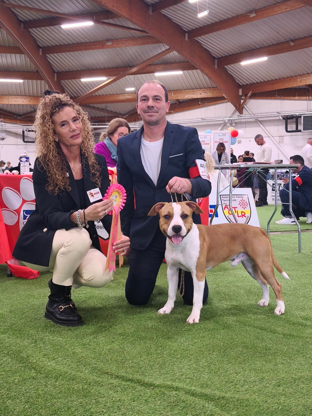of Woodcastle's Dogs - CACS Perpignan