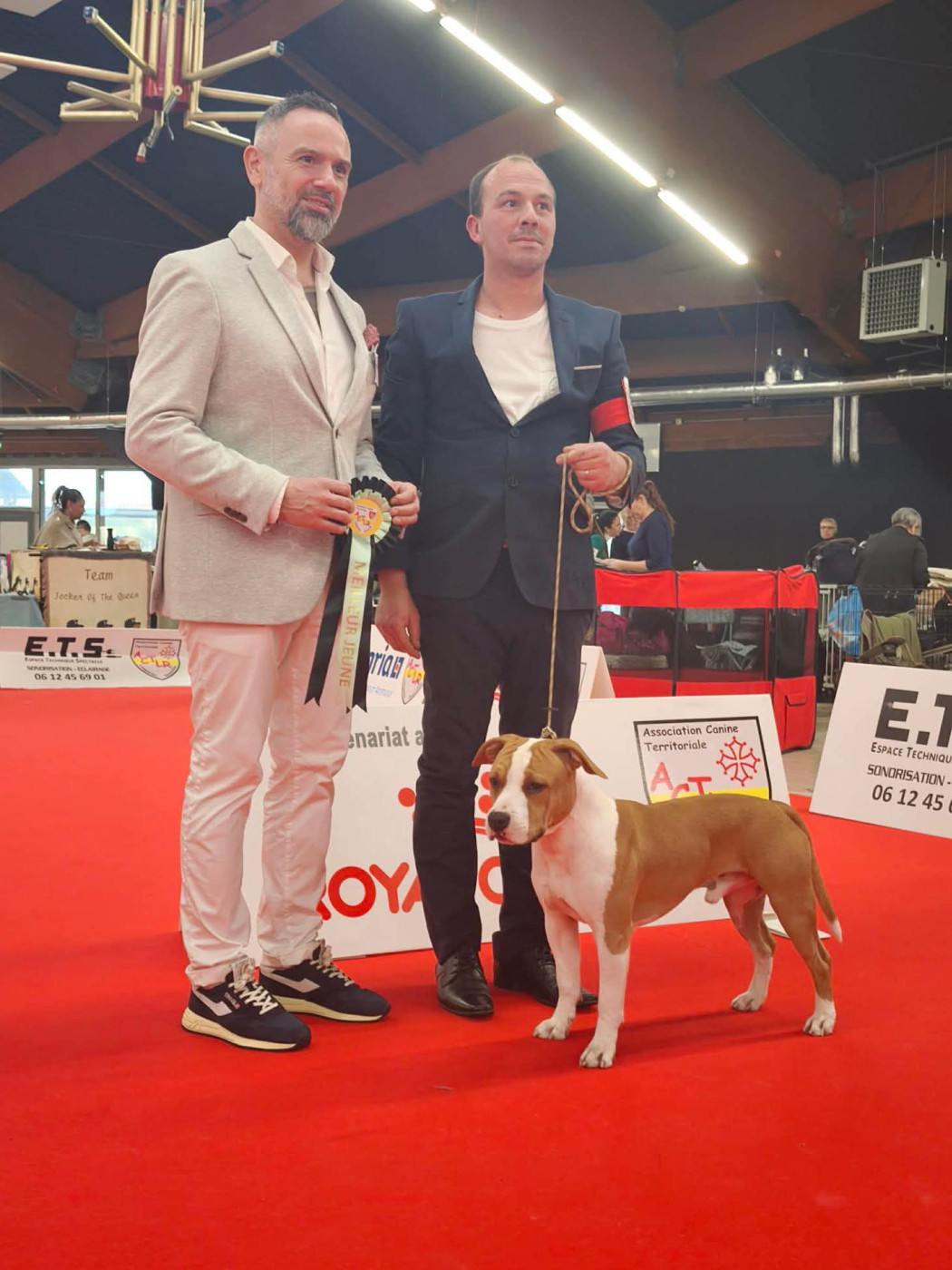of Woodcastle's Dogs - CACIB Perpignan