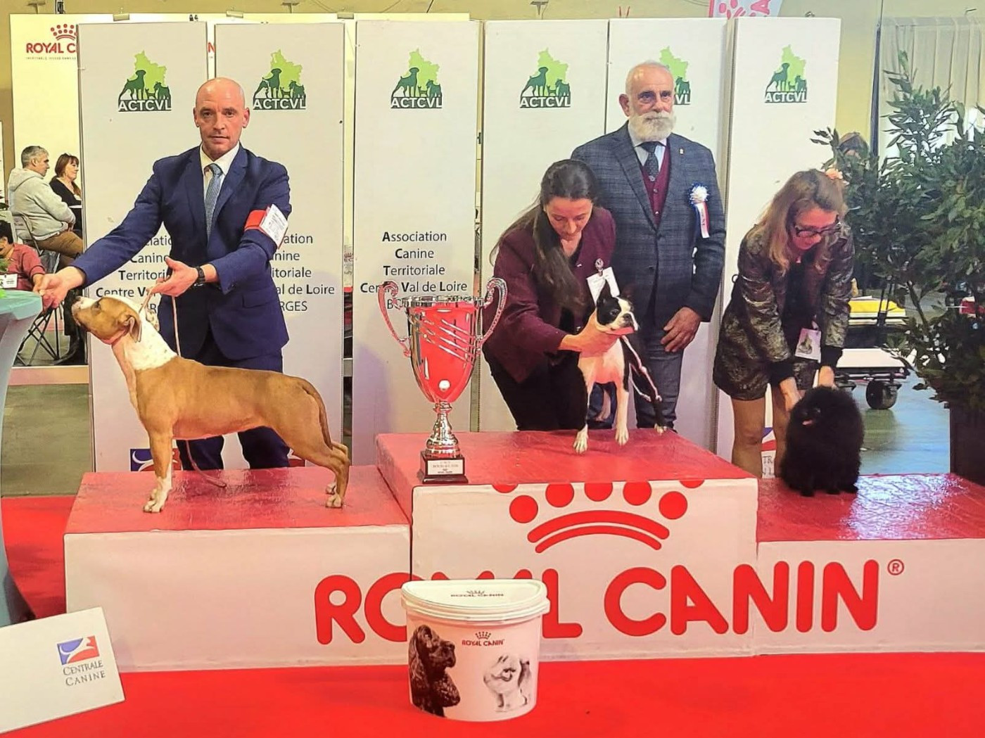 of Woodcastle's Dogs - CACS Bourges