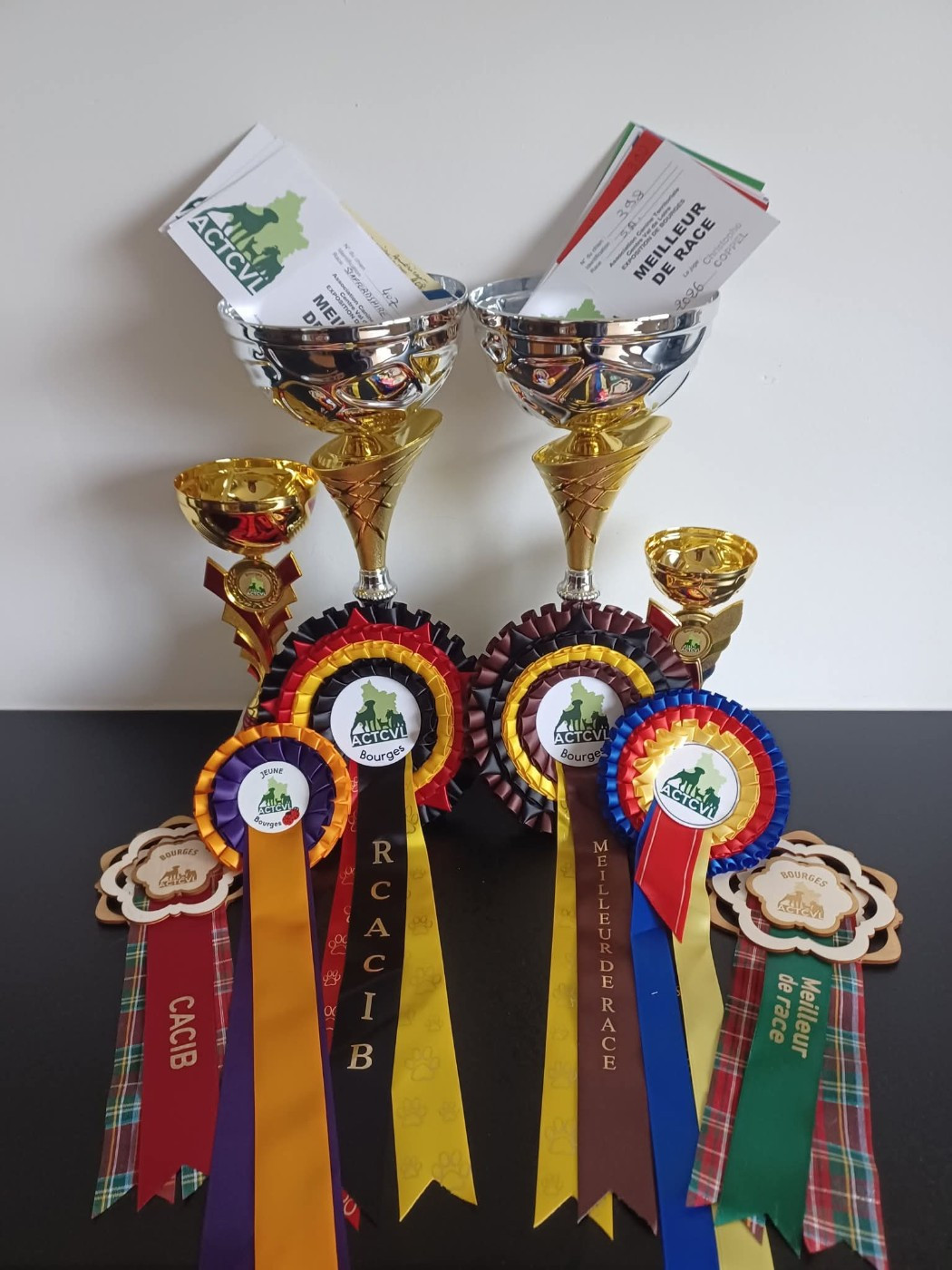 of Woodcastle's Dogs - CACS CACIB Bourges