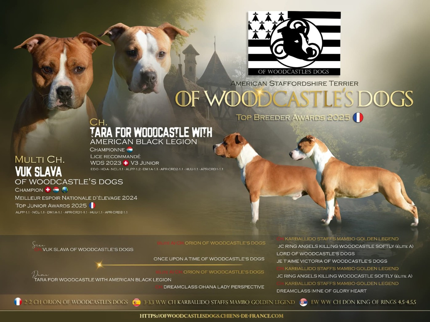 of Woodcastle's Dogs - Naissance des chiots