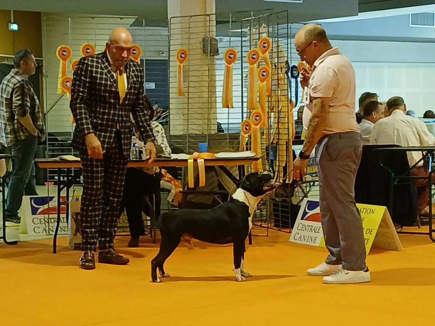 CACS Lons le saunier