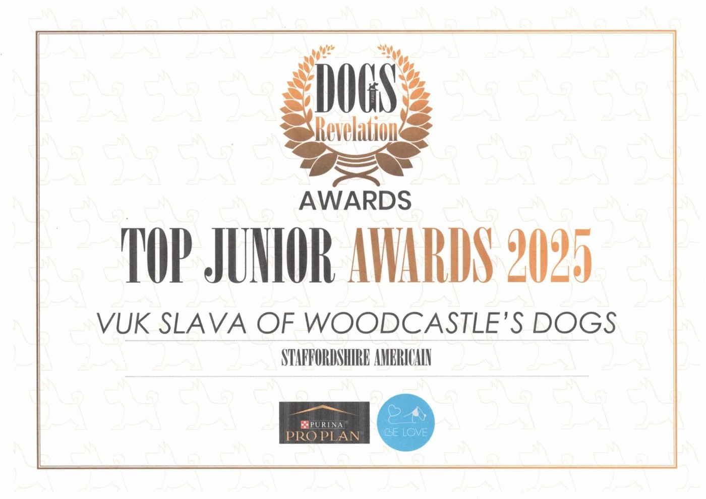 Top Junior Awards 2025